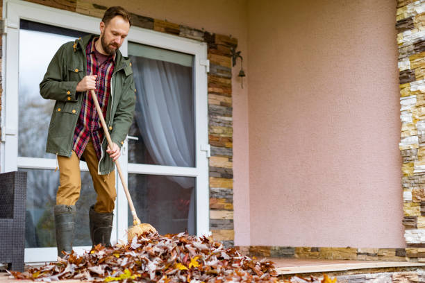 Basement Cleanout Services in La Conner, WA